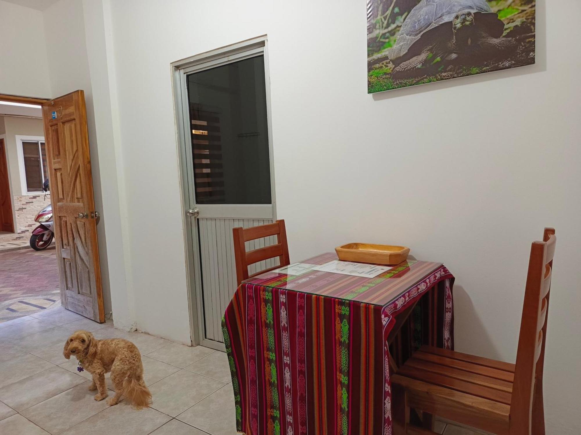 Teresita'S House Suites Con Cocina Privada Puerto Baquerizo Moreno Exterior photo